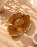 Folhas Decorativas