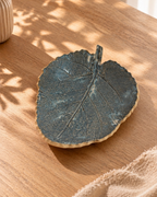 Folhas Decorativas